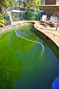 Pools go green when you ignore them. Also, pumps are great for getting rid of everything below the skimmer box line
