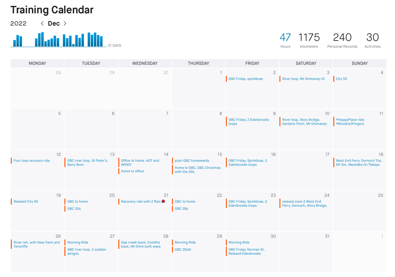 /images/2022/strava-calendar-december-2022.png